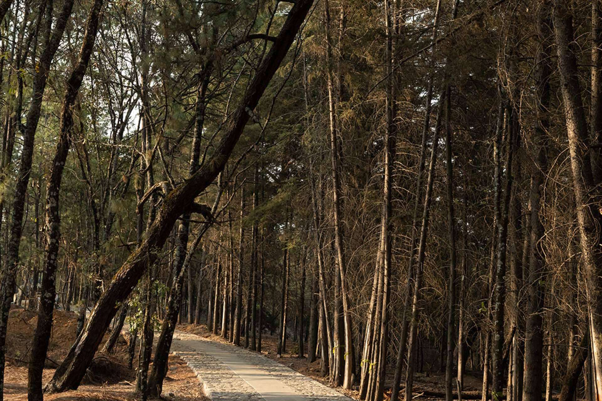 Valle de Bravo; tranquility and nature transforms into Mexico’s investment hotspot